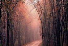 兴宁区新增1例无症状感染者 兴宁区疫情防控工作最新通报