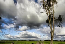 岳池新增1例无症状感染者  岳池县疫情防控最新通报_37669