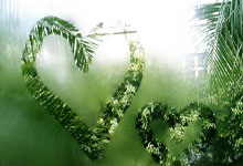 31省新增本土12例,九江疫情最新消息