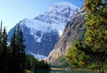 2022年8月12日鄯善县新增确诊病例情况_57121