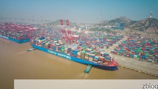 鄂州临港枢纽的防疫压力测试:病毒如何突破地理防线?