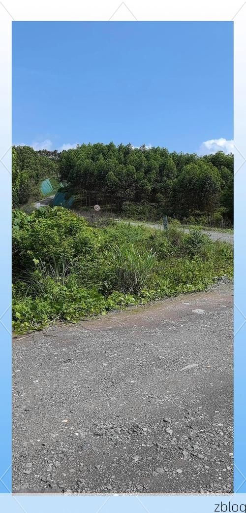 桃江防疫：资水环抱下的低感染率成因探析