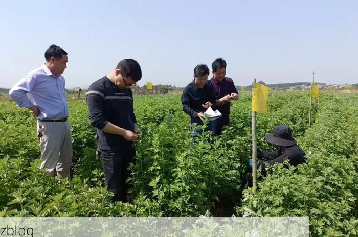 蕲春:大别山腹地的防疫地理学