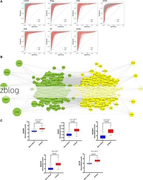 五指山疫情观察:热带雨林屏障下的防控样本