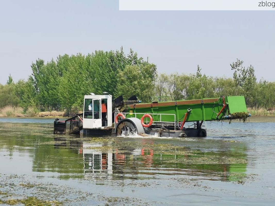 鱼台县:河湖交织下的防疫坚守与挑战