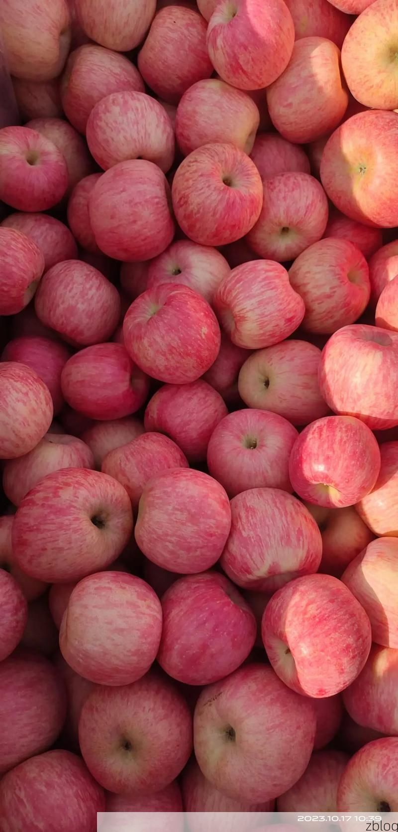 栖霞苹果产区：低风险下的交通枢纽防疫压力