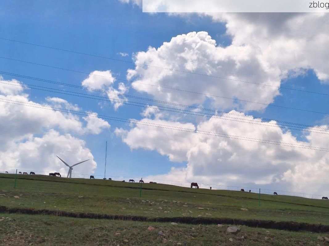 乌兰察布：草原枢纽的防疫压力与精准布防