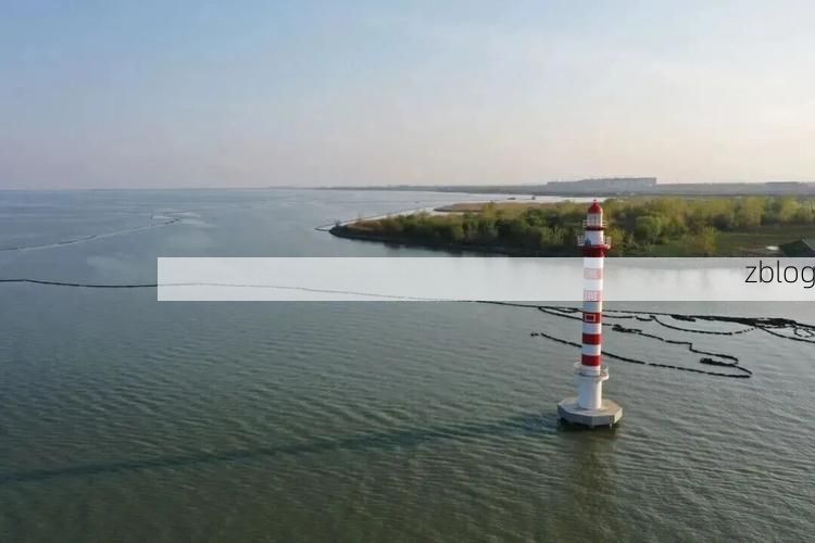 湖口：长江水道防疫线上的哨点与破口