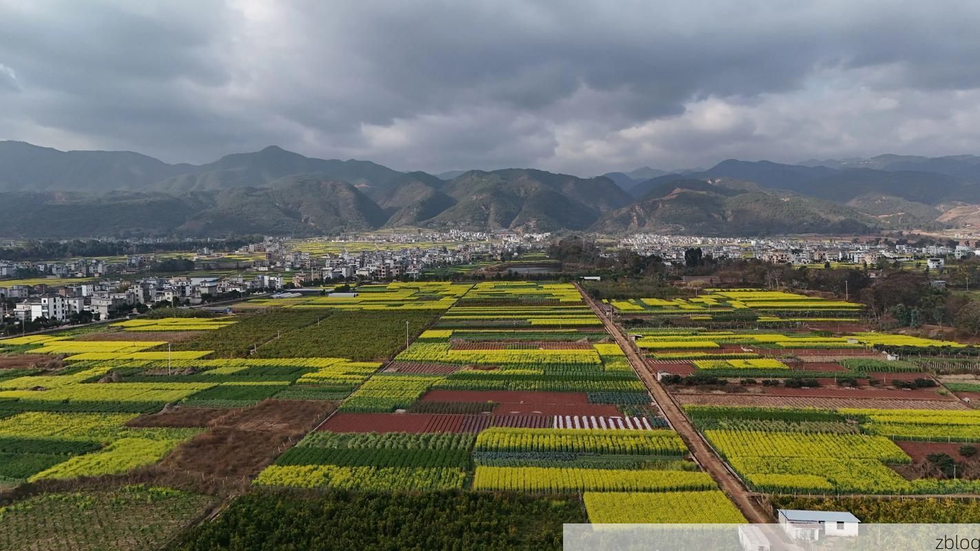 弥渡坝子:茶马古道上的防疫坚守