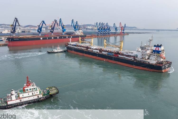 龙港区：渤海湾畔的港口防疫样本_10392