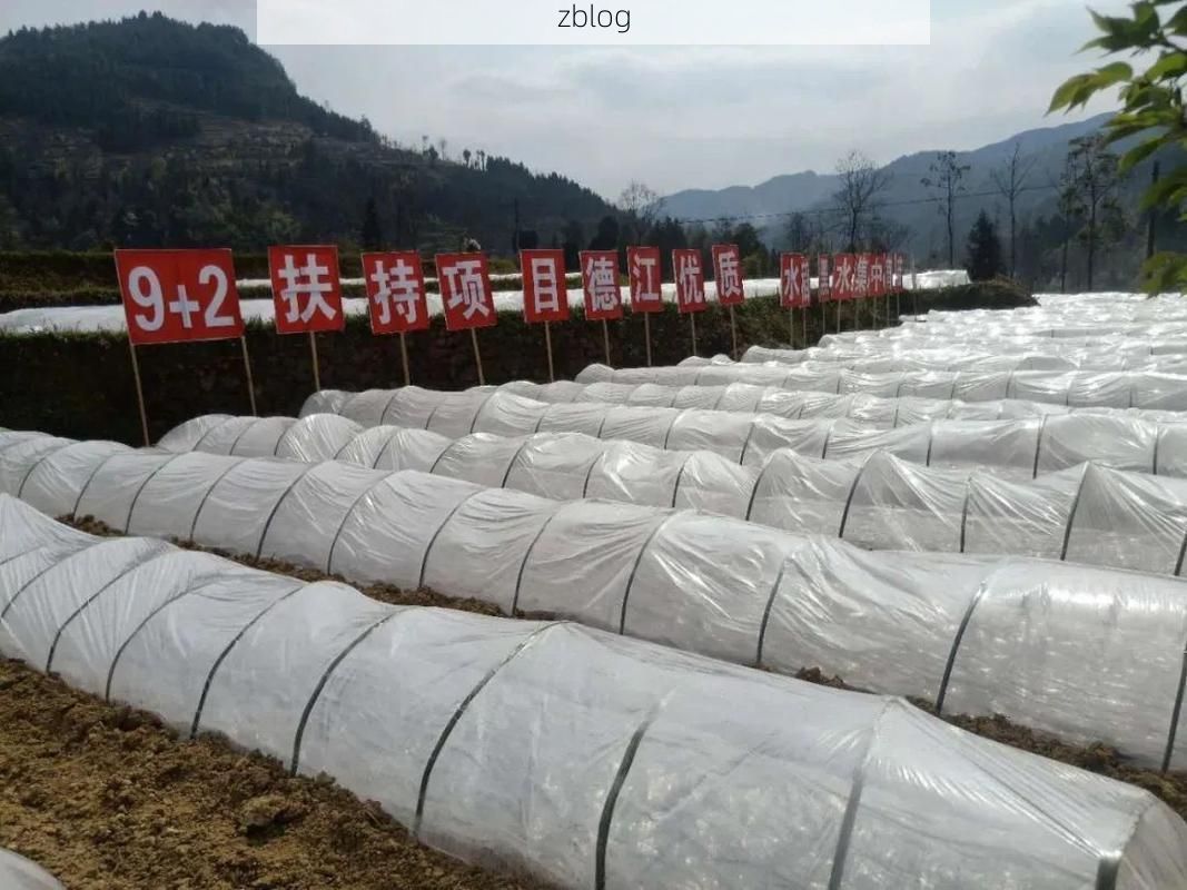 沿河土家族自治县:武陵山区的防疫坚守与挑战