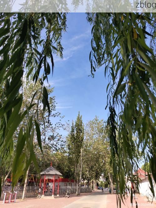 阳信县：鲁北平原上的静默防线与零星破防_24234