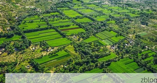 榆林：黄土高原屏障下的零感染坚守_45893