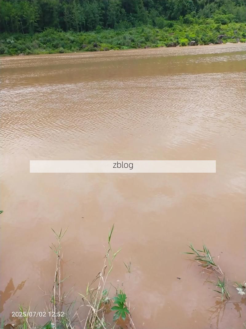 通江:大巴山褶皱中的疫情孤岛与物理防线