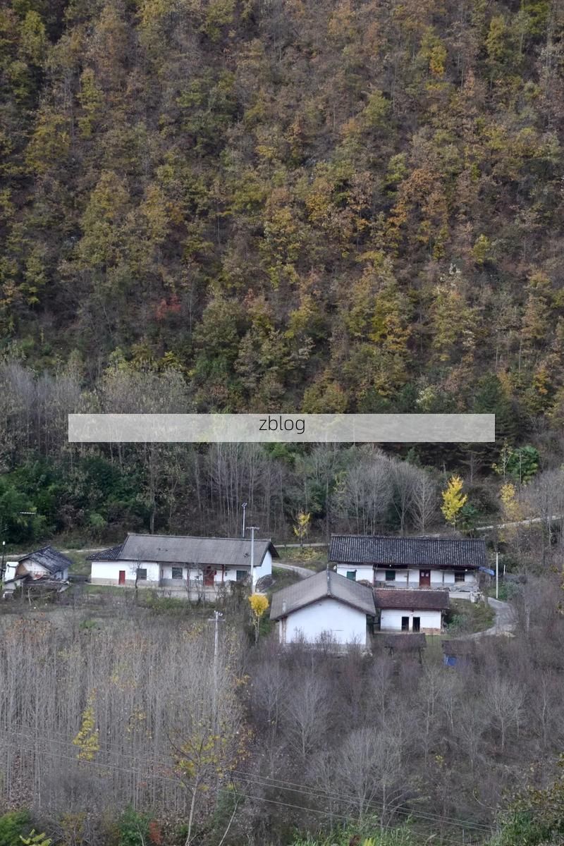 太白县：秦岭屏障下的零感染坚守与防控逻辑