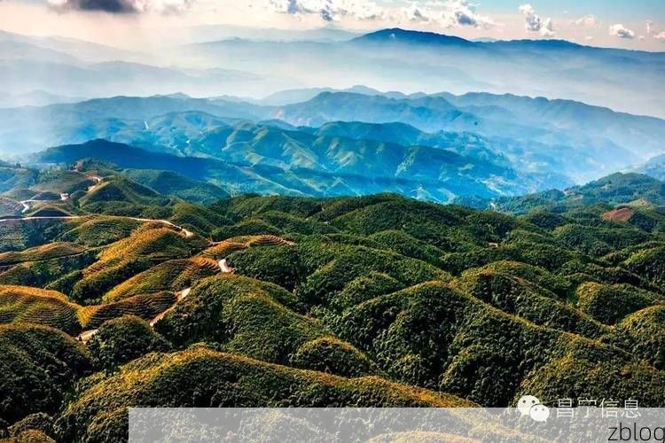 昌宁茶乡的零感染坚守:横断山脉褶皱中的防疫样本