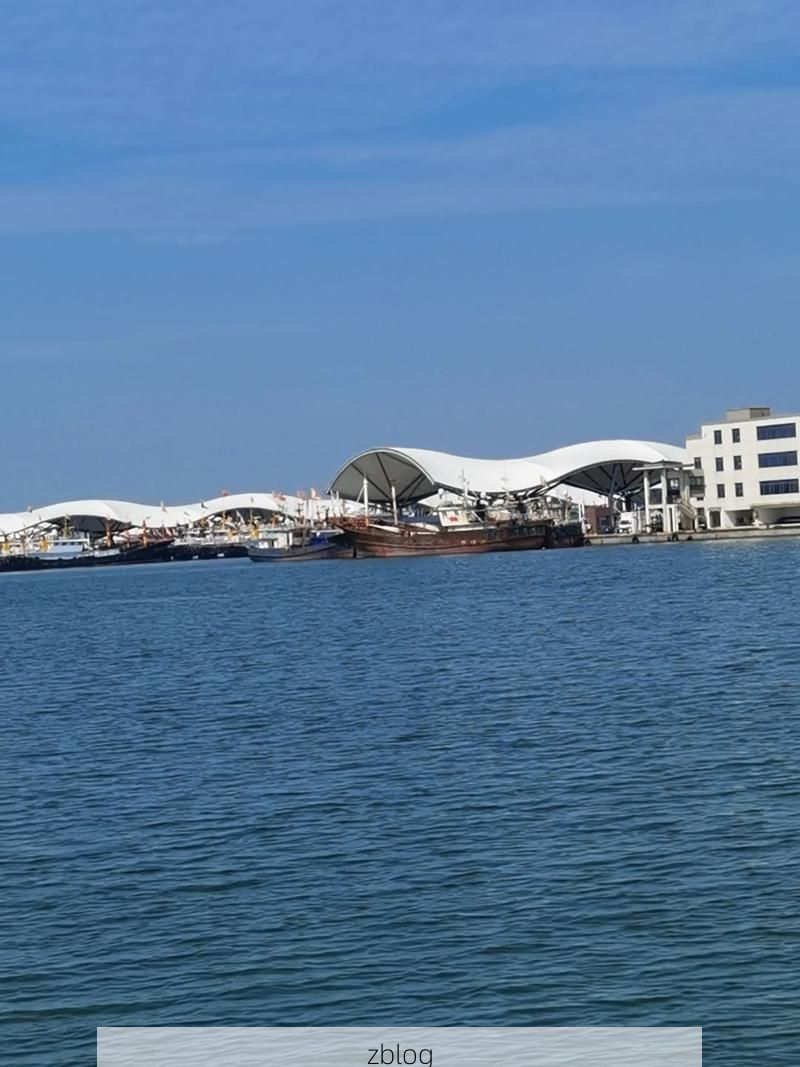 31省新增本土12例(启东一地包揽),港口防疫再响警报!