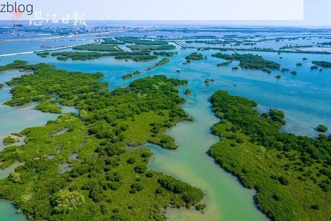 【云浮：粤西生态屏障下的低感染率样本解析】