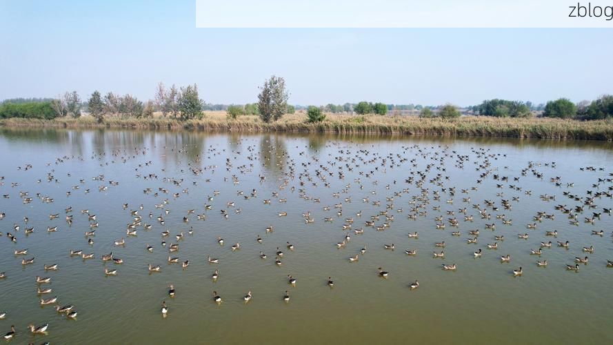 衡水湖屏障下的防疫破口：华北平原交通枢纽的疫情压力测试