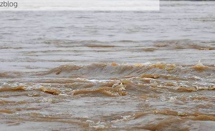 古浪：河西走廊风沙屏障下的低感染样本_13566