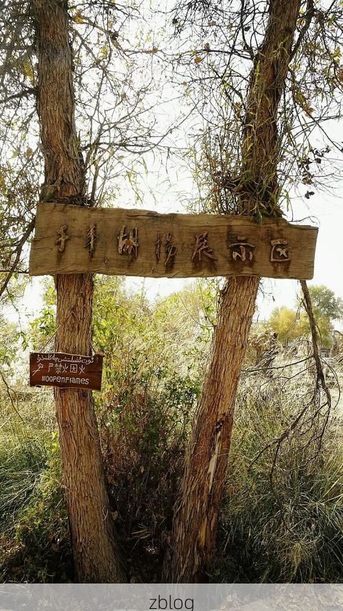 阿瓦提：塔克拉玛干边缘的零感染坚守_48113