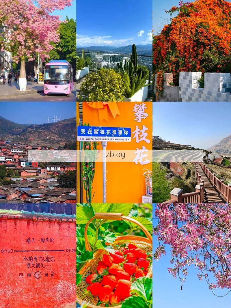 31省新增本土12例，攀枝花市辖区疫情引关注