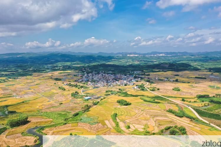 象州:桂中腹地的零感染坚守与交通枢纽防疫压力