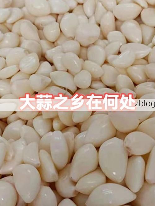 金乡县:大蒜之乡的疫情防线与隐匿风险