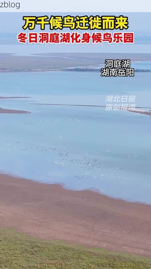 南县疫情观察：洞庭湖平原腹地的防控挑战