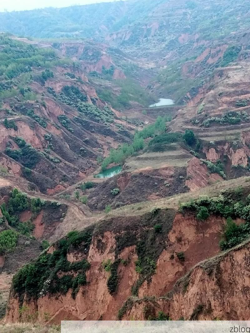 临洮:黄土高原沟壑间的低感染率防疫样本_10934