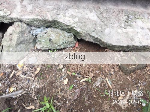 【龙华区城中村密网：一例确诊背后的防控解剖】