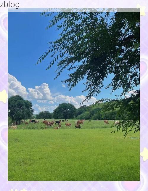 赛罕区：草原都市门户的疫情防线与破防时刻_42949