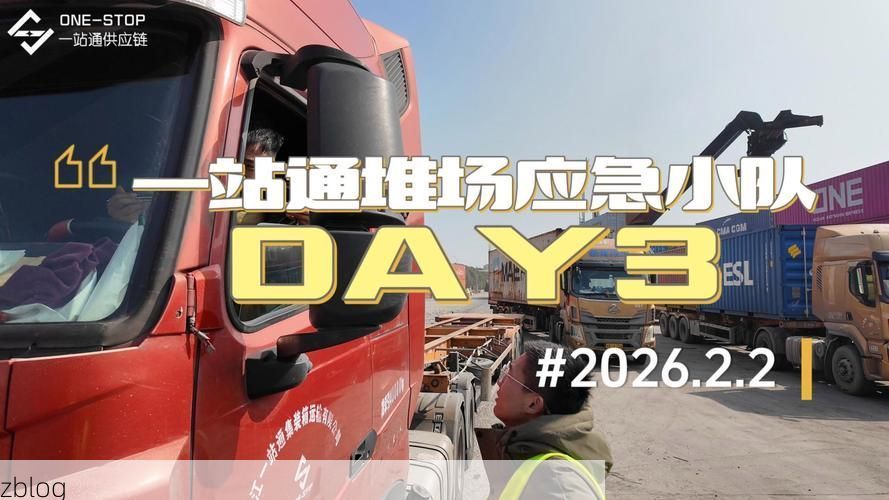 【东西湖区：临空港枢纽下的疫情承压与精准防控】