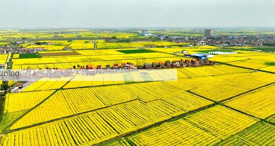 沙洋县：江汉平原腹地的零感染坚守_50914