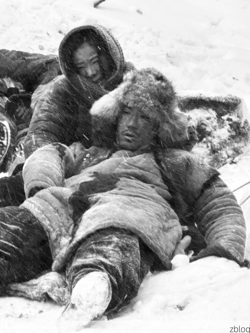 吴起：黄土高原屏障下的零感染坚守