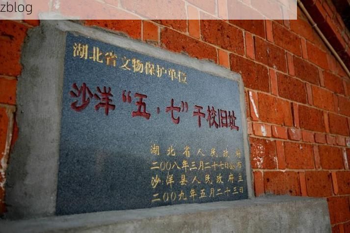 沙洋：江汉平原腹地的疫情防线与破防时刻