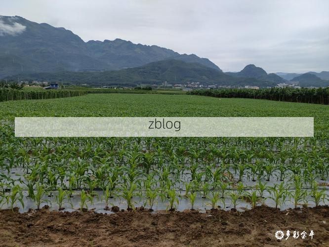 边境线上的防疫博弈：金平如何守住零感染红线？