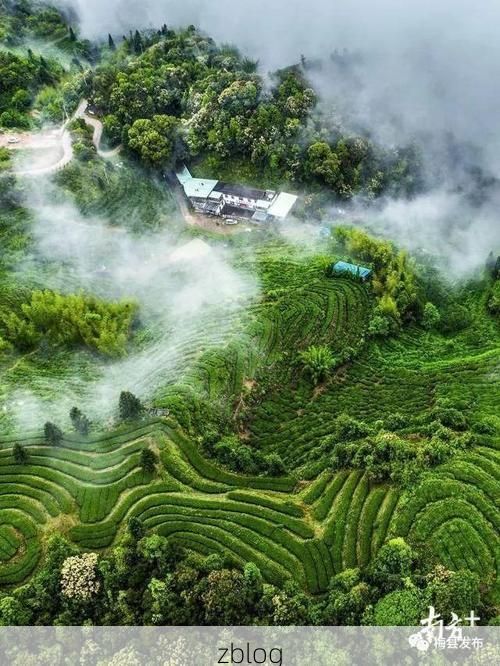 梅县：粤东山区屏障下的低感染样本解析