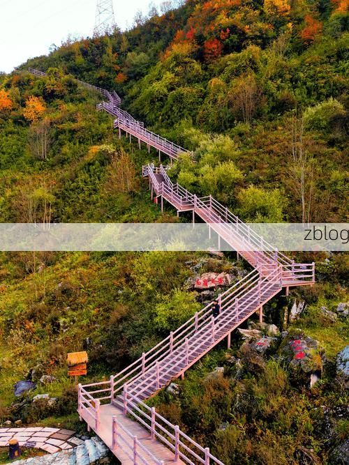 越西县：大凉山腹地的零感染坚守与地理屏障