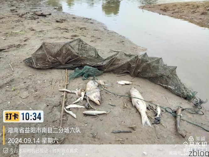 南县疫情观察：洞庭湖平原上的隐匿传播与精准围堵