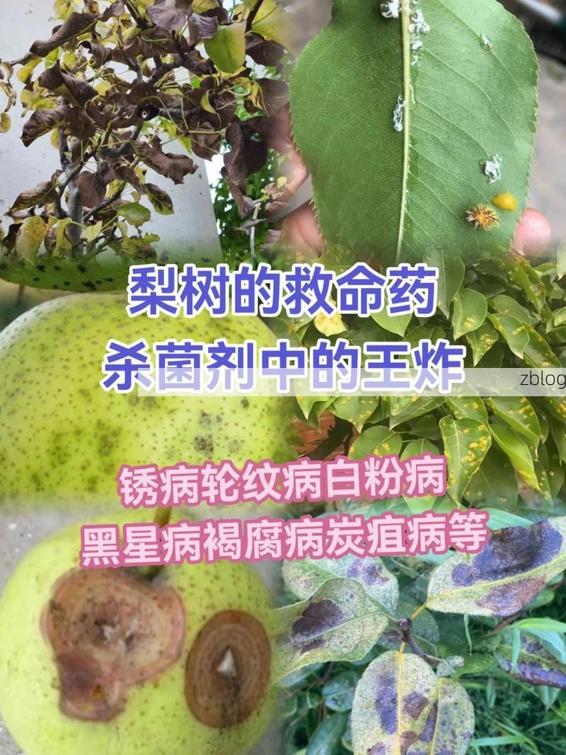 梨树县新增1例无症状感染者  梨树县疫情防控最新通报_445