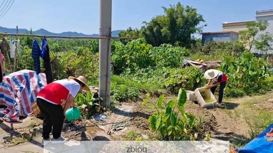 恩平：滨海小城的疫情防线与地理屏障