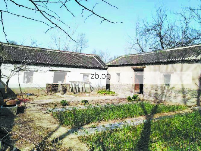 成武县疫情观察：鲁西南平原上的防控样本