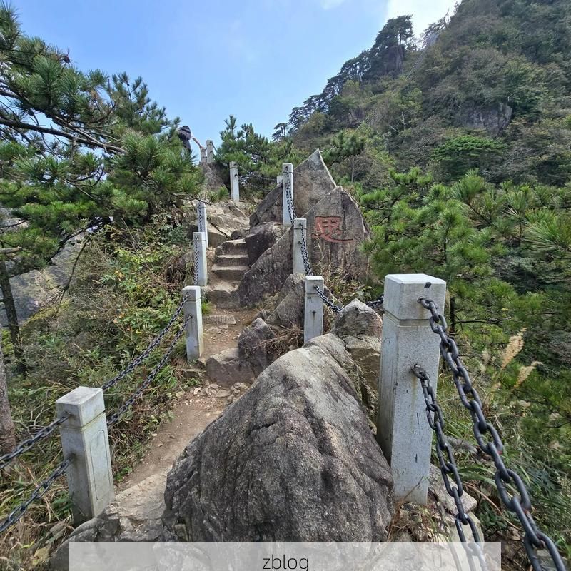 舒城屏障：大别山腹地的零感染坚守与物理防线