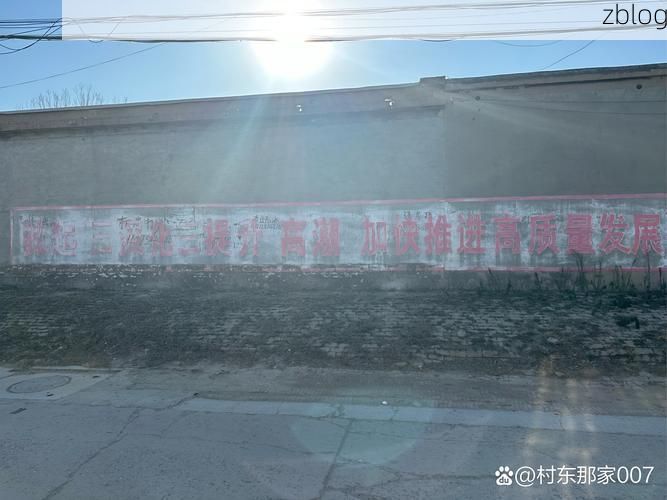 大城县：华北平原腹地的零感染坚守