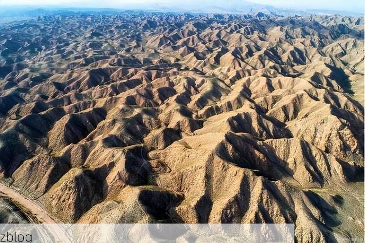 镇原：黄土高原沟壑区的零感染坚守之谜