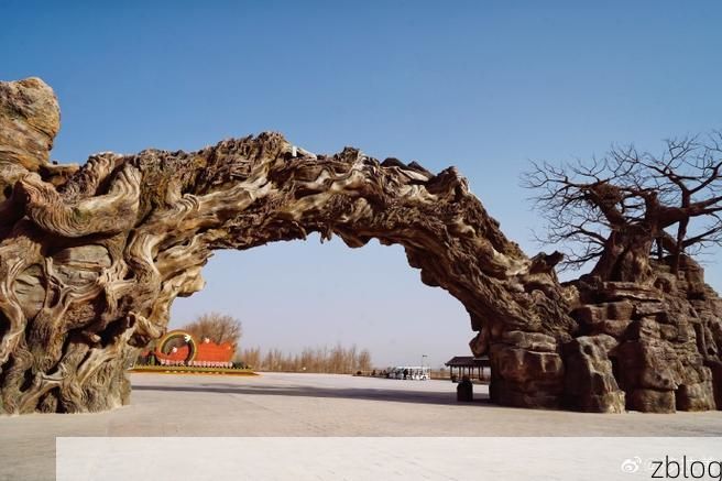 岳普湖县：塔克拉玛干边缘的零感染绿洲