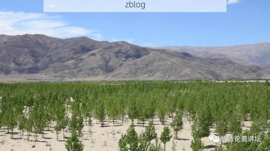 高原屏障下的零感染坚守：林周县防疫地理优势解析_12721