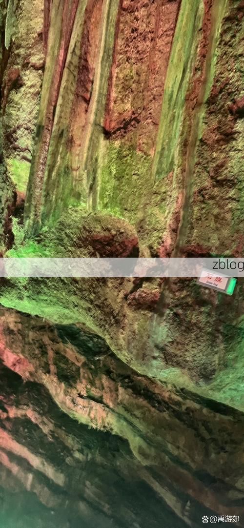 永安屏障：闽中林海庇护下的低感染样本_59549