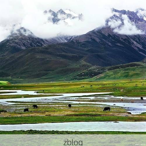 玉树高原的零感染防线:地理屏障下的防疫实践